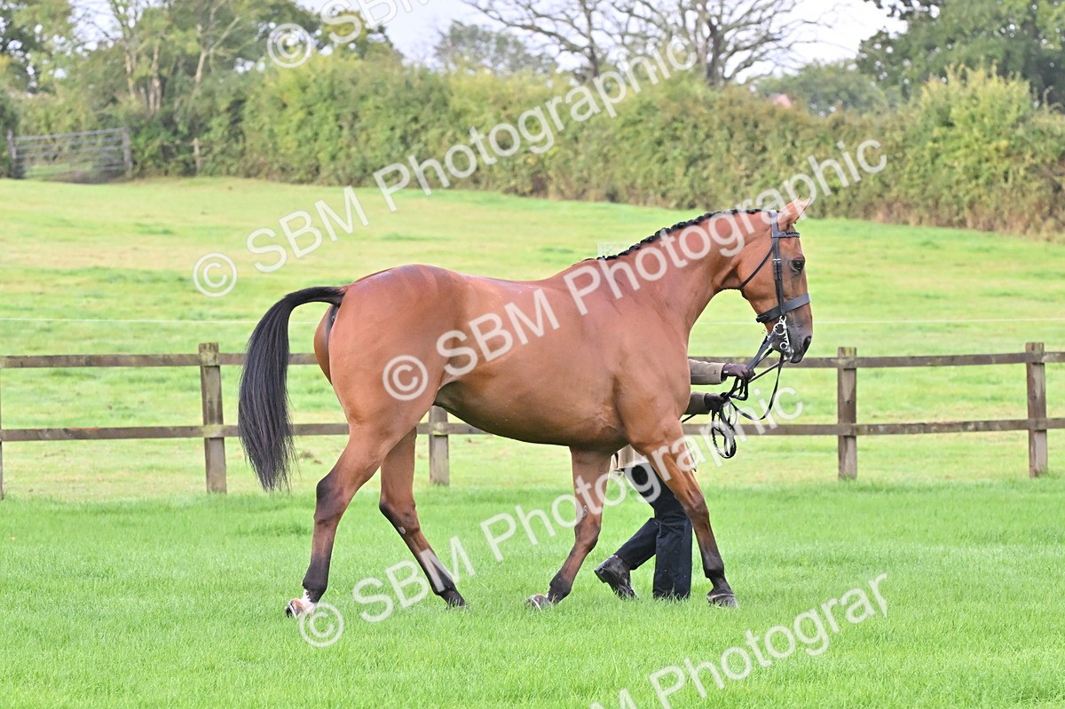 SBM_32629 - S15 - Top Turnout In Hand