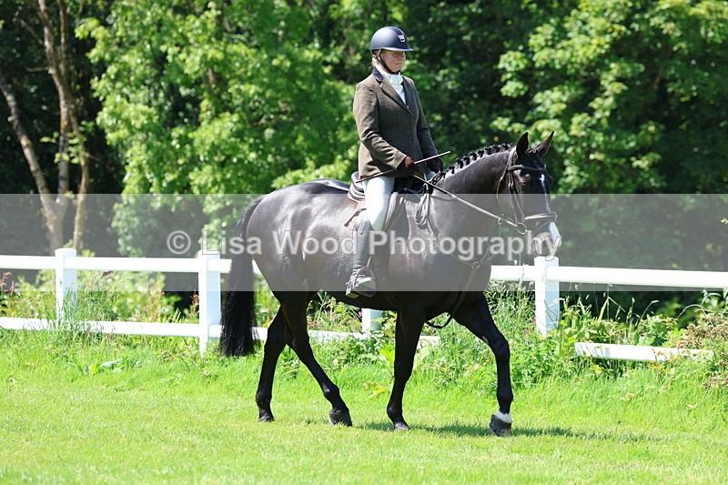 3E7A7148 - Class 30: Novice Working Hunter