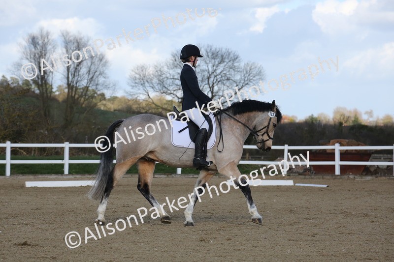 20260314-5188 - DR6 - Novice 2