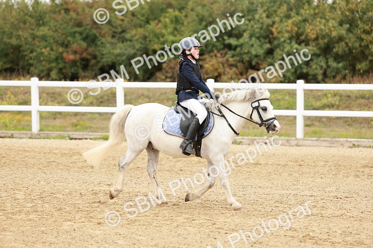 SBM_007156 - Class 2 - 50cm