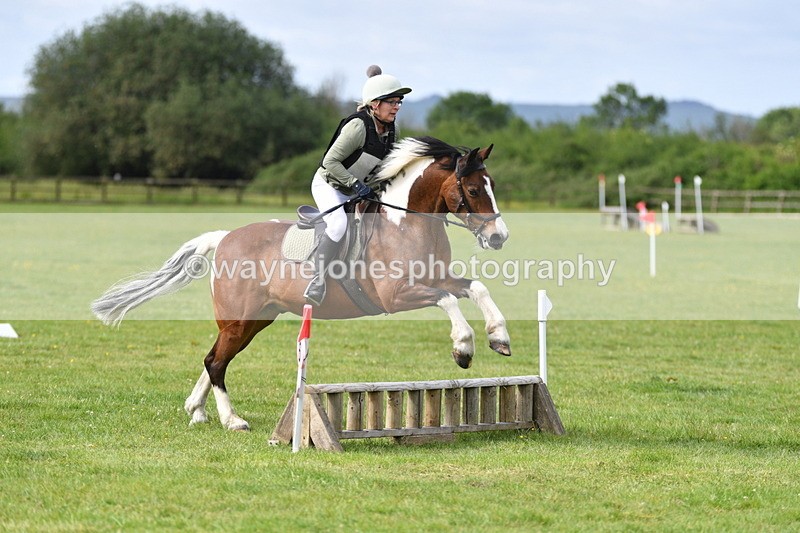 WJ5_2371 - Class 2 40cm