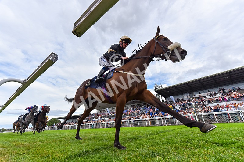 050725-Race 7-Dollys Delight-6315 - Race 7