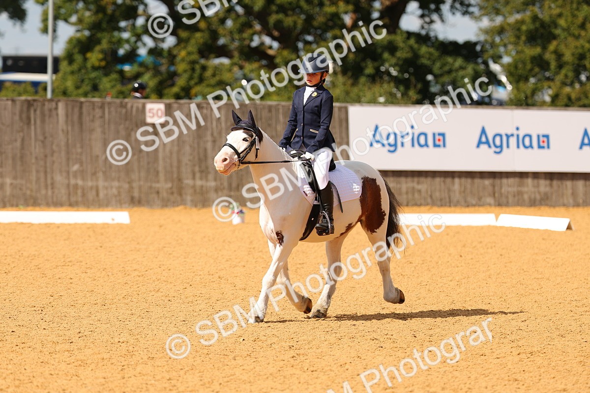 SBM_44092 - D22 - Junior Championship - Intro B