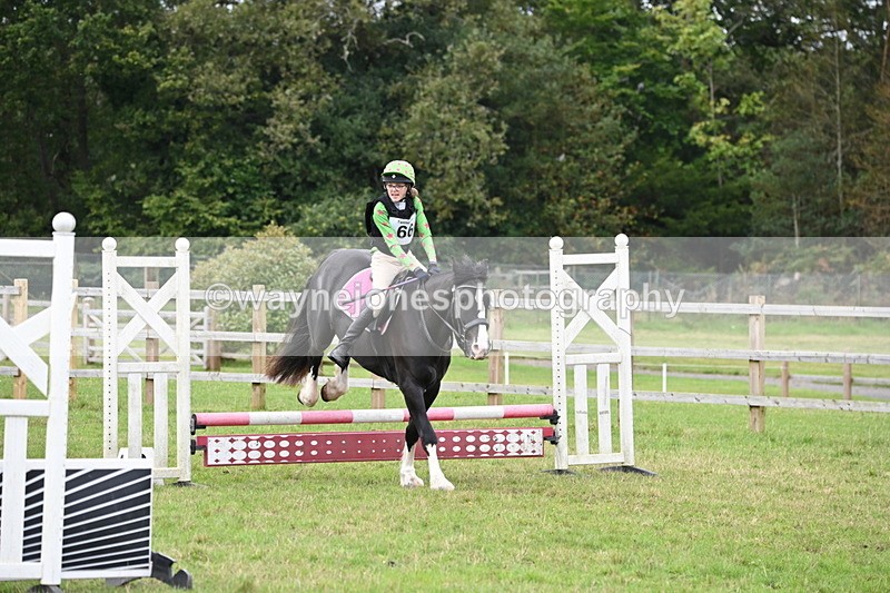 WJ6_1870 - 60cm Time 12:11 to 12:28