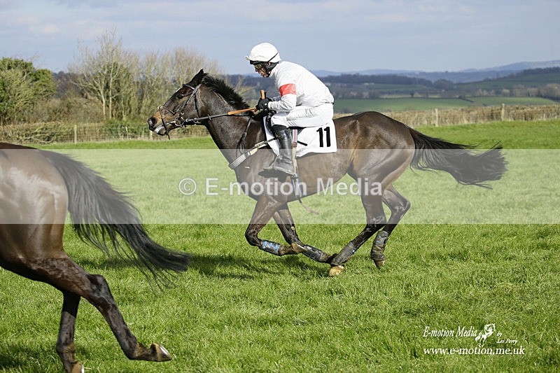 PtP 060322 432 - Blackmore & Sparkford Vale Hunt PtP 06/03/22