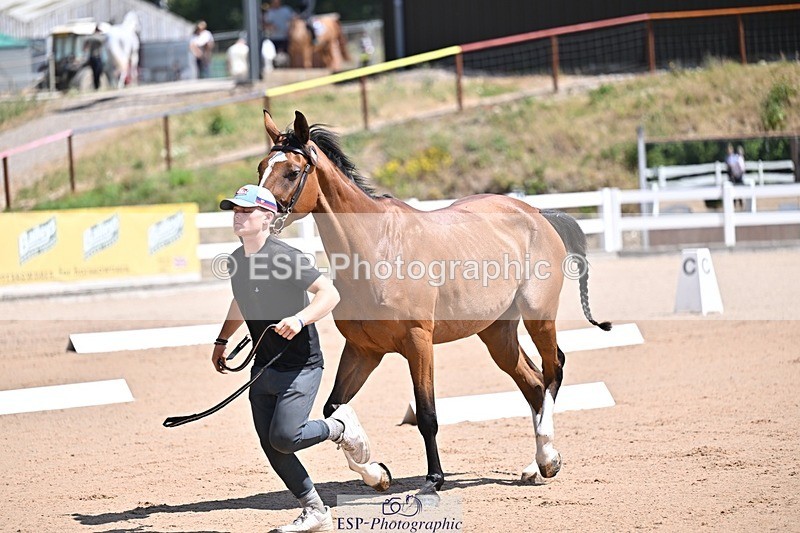250716-123111-00031 - Trot Up 12.30 to 1.30