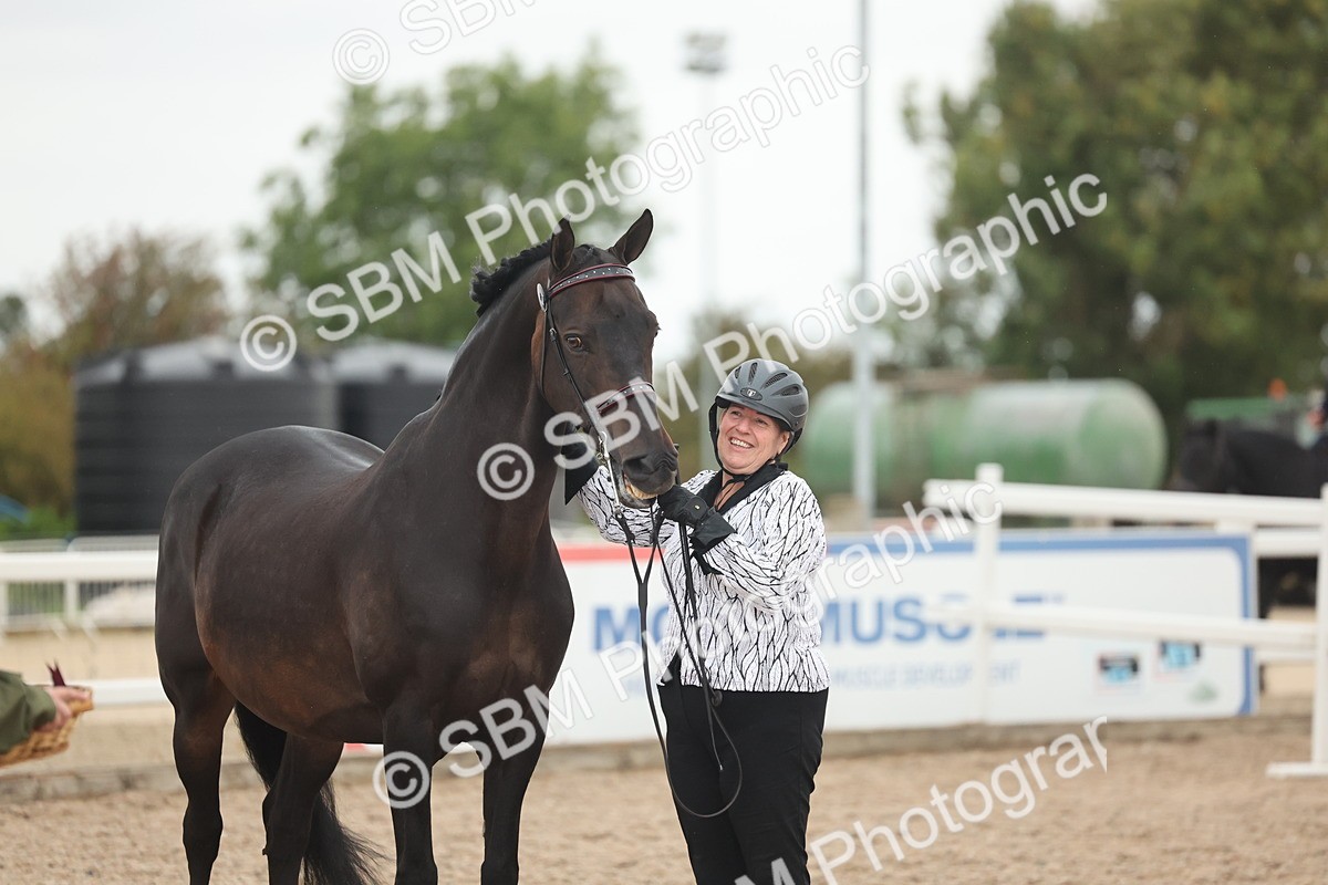 SBM_19401 - Class 317 - IH Pure Bred Horse-Pony