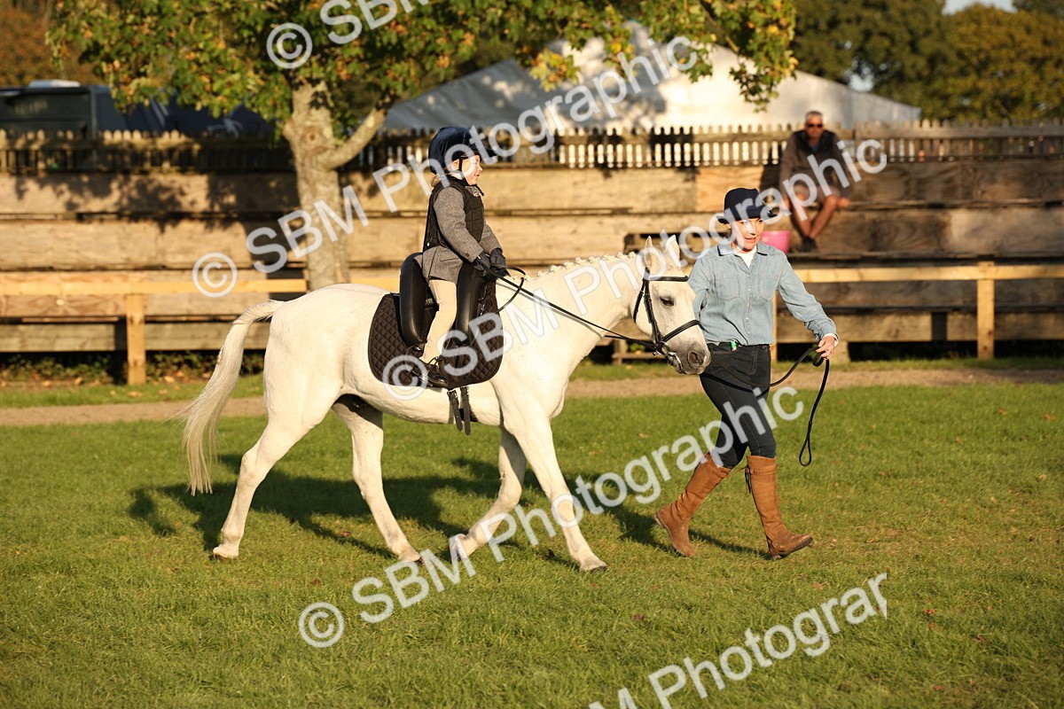 SBM_54475 - S27 - Mature Veteran - Ridden