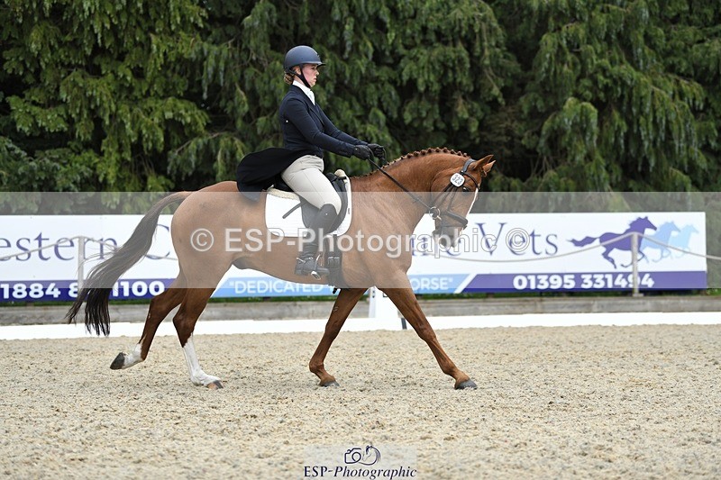 230525-144629-03180 - 323-CHESTNUT_BOBBY-Molly_Fletcher-WEDTrotUp+DR