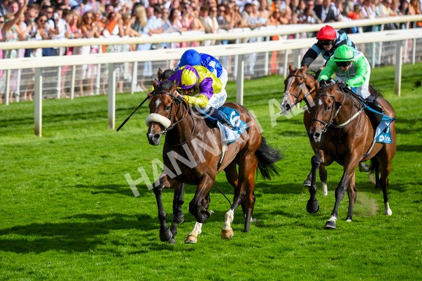 290723-Race 6-Dark Moon Rising-0947 - Race 6 5.10pm Betting Better With Sky Bet Handicap