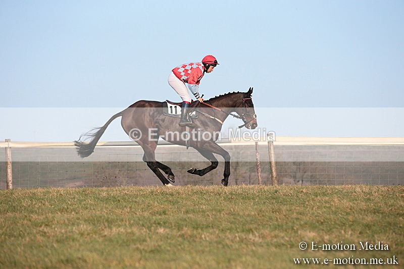 PtP 230219 599 - Vine & Craven Point-To-Point - Barbury 23/02/19