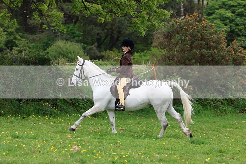 3E7A1818 - Class 9: Riding Club Horse/Pony