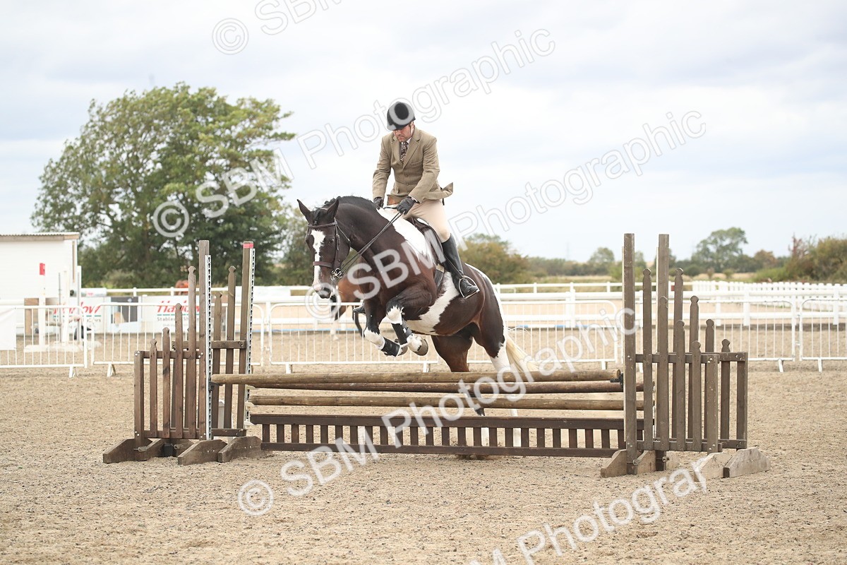 SBM_18290 - Class 509a - Working Veteran - 80cm (15-19)