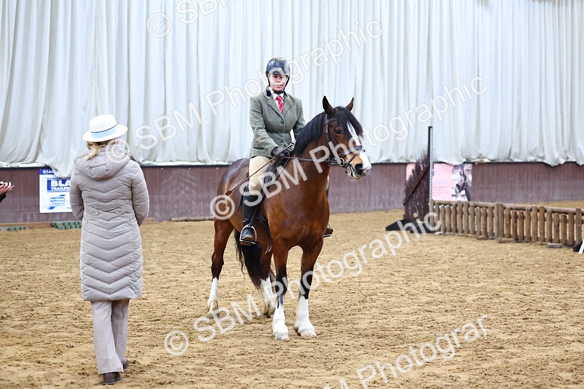 SBM_003034 - Class 35 - 60cm Training Stakes