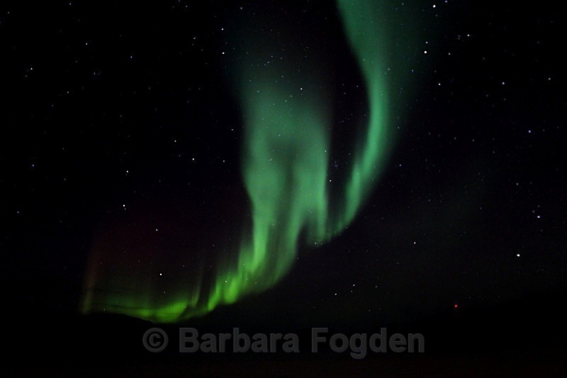 Northern Light in Adventdalen 5352 - Polar night