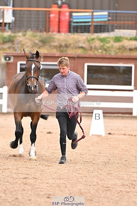 250716-154144-02128 - Trot Up 3.30 to 4.30