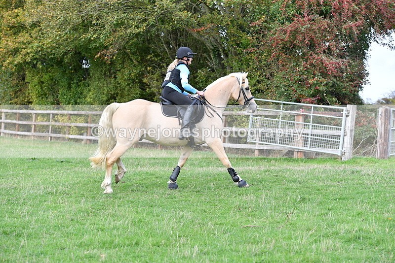 WJ5_0934 - Time 14:29 to 15:31