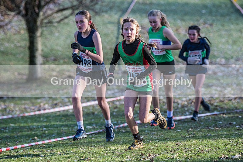 Cumbria XC-228 - Cumbria Cross Country Championships (Junior & Senior Races) Saturday 3rd January 2026