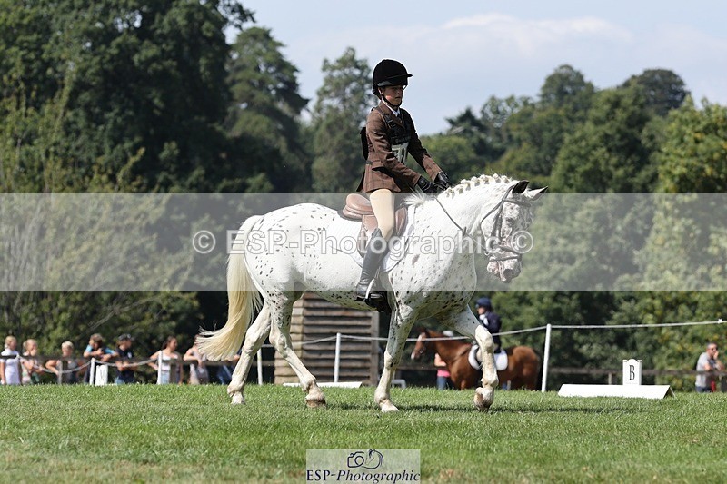 250823A-131840-31277 - Arena D