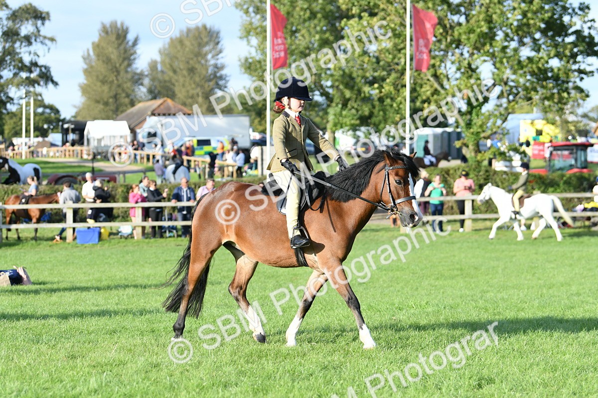 SBM_54029 - S23 - 1st Ridden Mountain & Moorland Pony