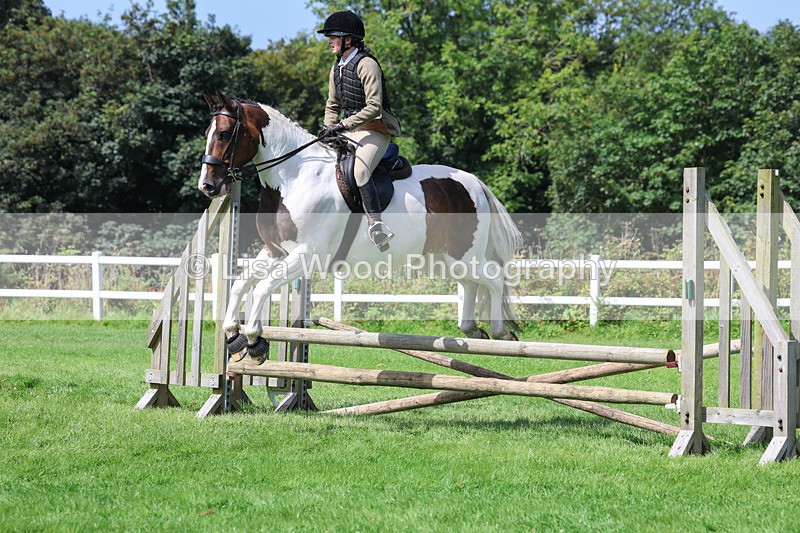 3E7A8600 - Class 5: Working Show Horse