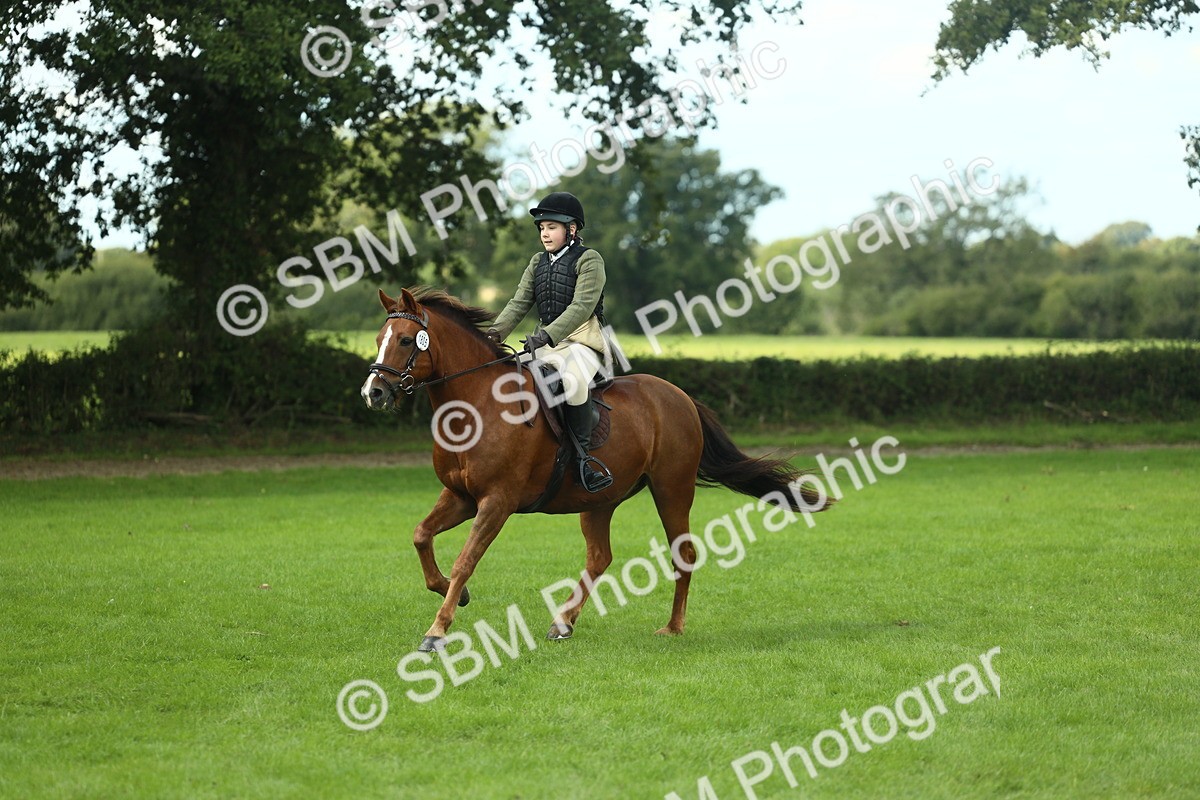 SBM_42891 - S30 - M&M Working hunter Pony