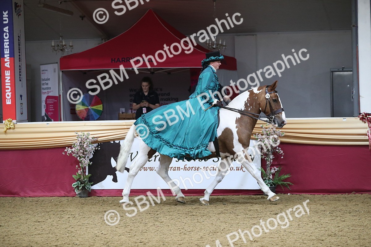 SBM_11983 - Class 106 Ridden Costume- Astride Adult (15-19)