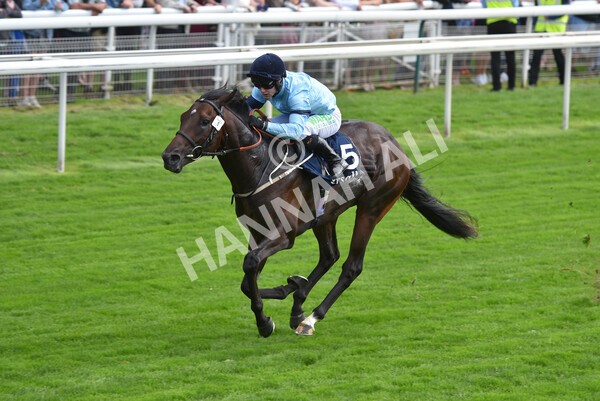 yr18082021r2-24 - Race 2 2.25pm Tattersalls Acomb Stakes