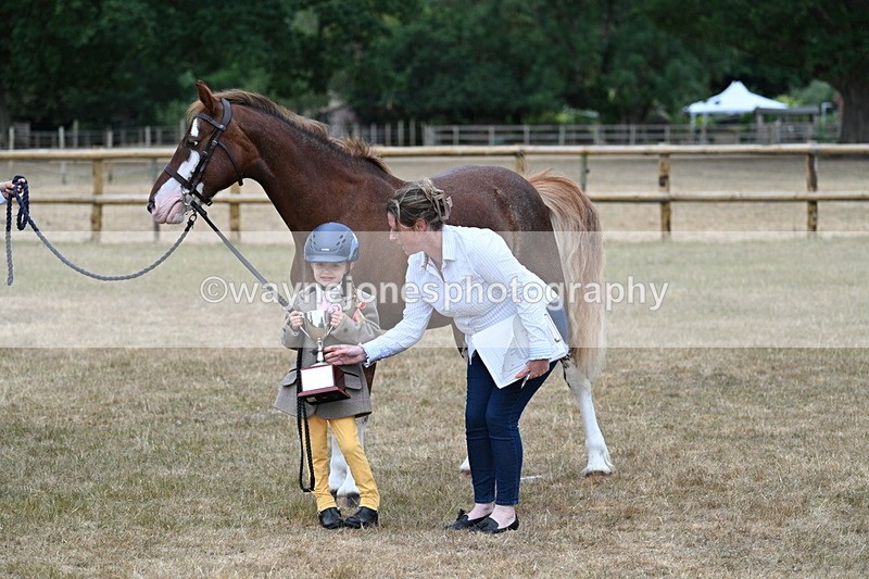 WJ7_9362 - Prettiest Mare Champs