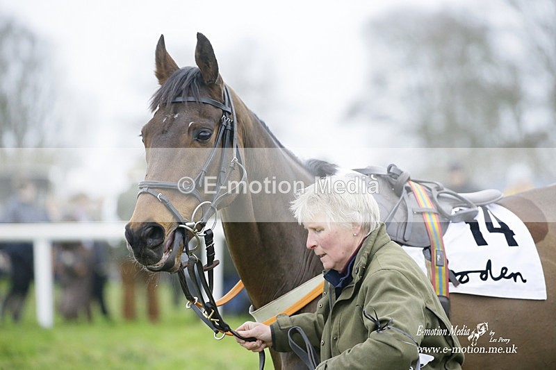 PtP 200222 537 - Countryside Alliance PtP Badbury Rings 20/02/22