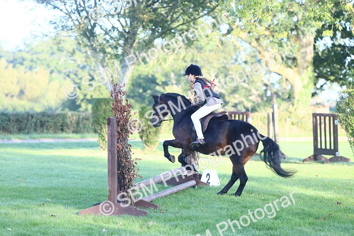 SBM_37316 - S29 - Novice & Newcomers Working Hunter Pony