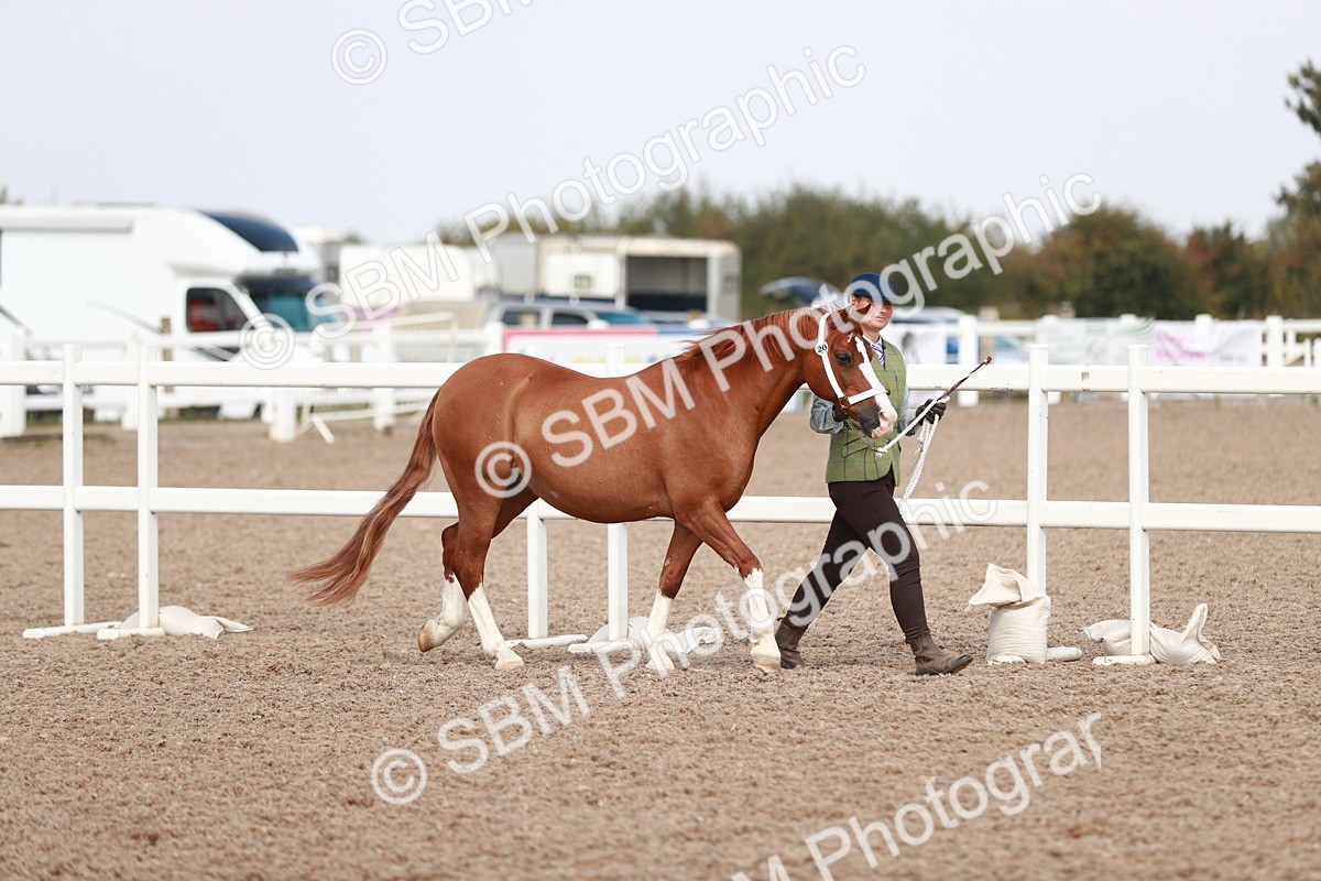 SBM_13820 - Class 209 IH Veteran Pony