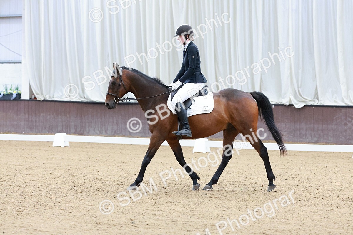 SBM_003229 - Intro 2