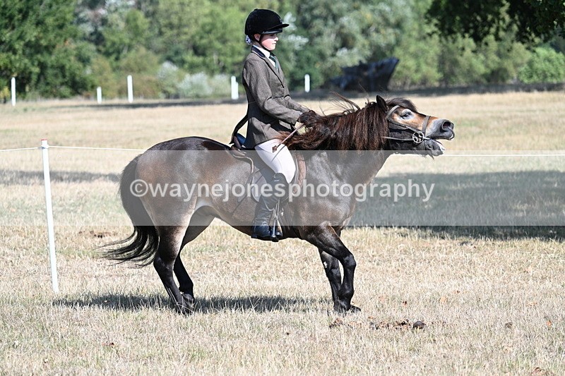 WJ7_3490 - Class 9 Mountain & Moorland Ridden