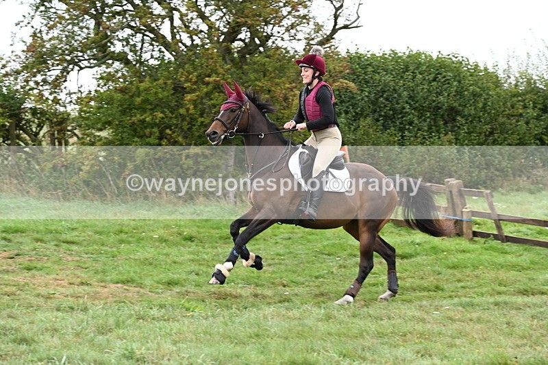 WJ6_1357 - Time 10:05 to 10:30  (3 cameras)