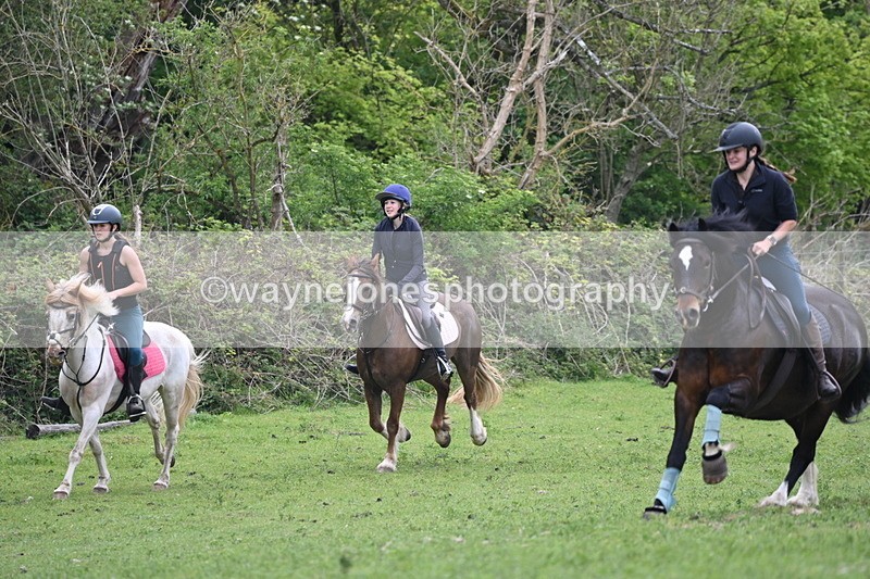 WJ6_3295 - A camera