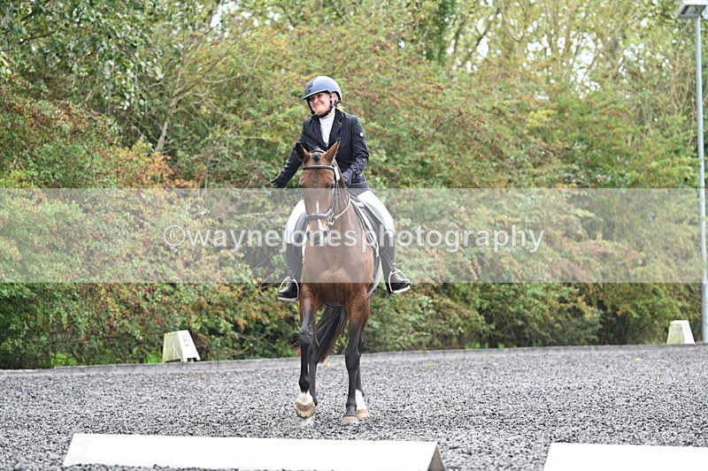 WJ7_3915 - Time 11:04 to 11:38