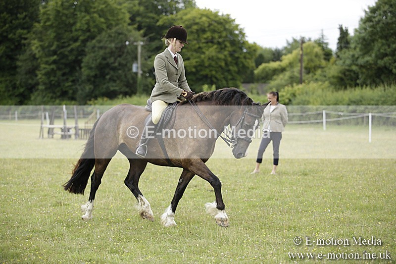 BVR160717-1296 - Ring 1 BVRC Show 16/07/17