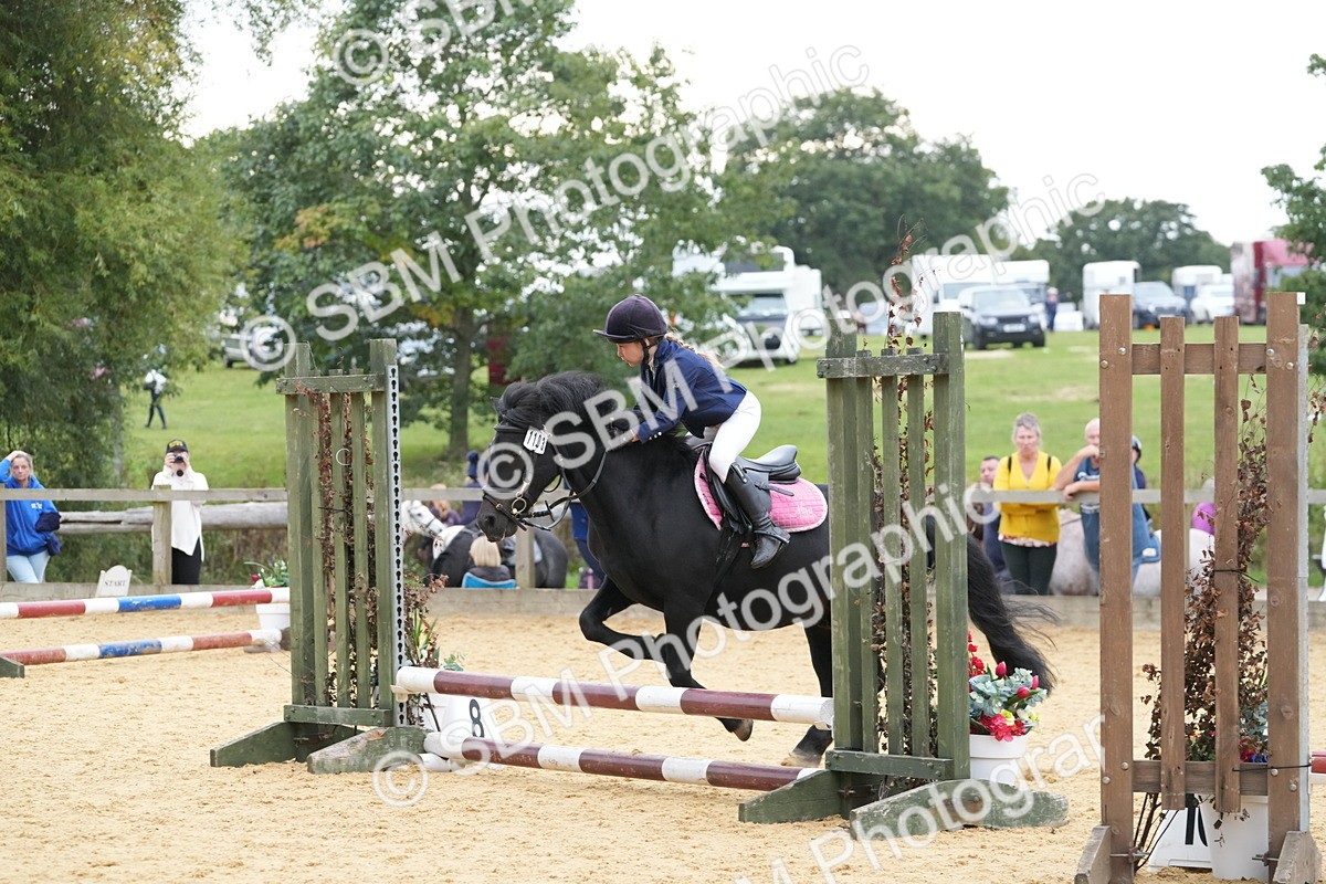 SBM_74561 - J4 - Mini Tour Junior Pony 45cm Championship