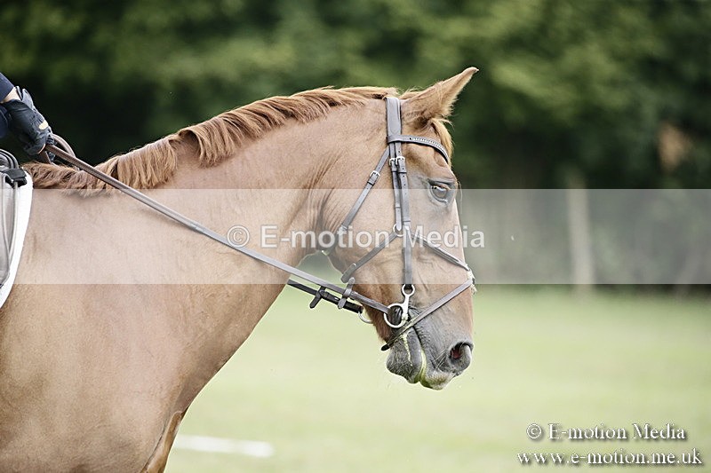 BVR090918 306 - BVRC Dressage and Show Jumping 09/09/18