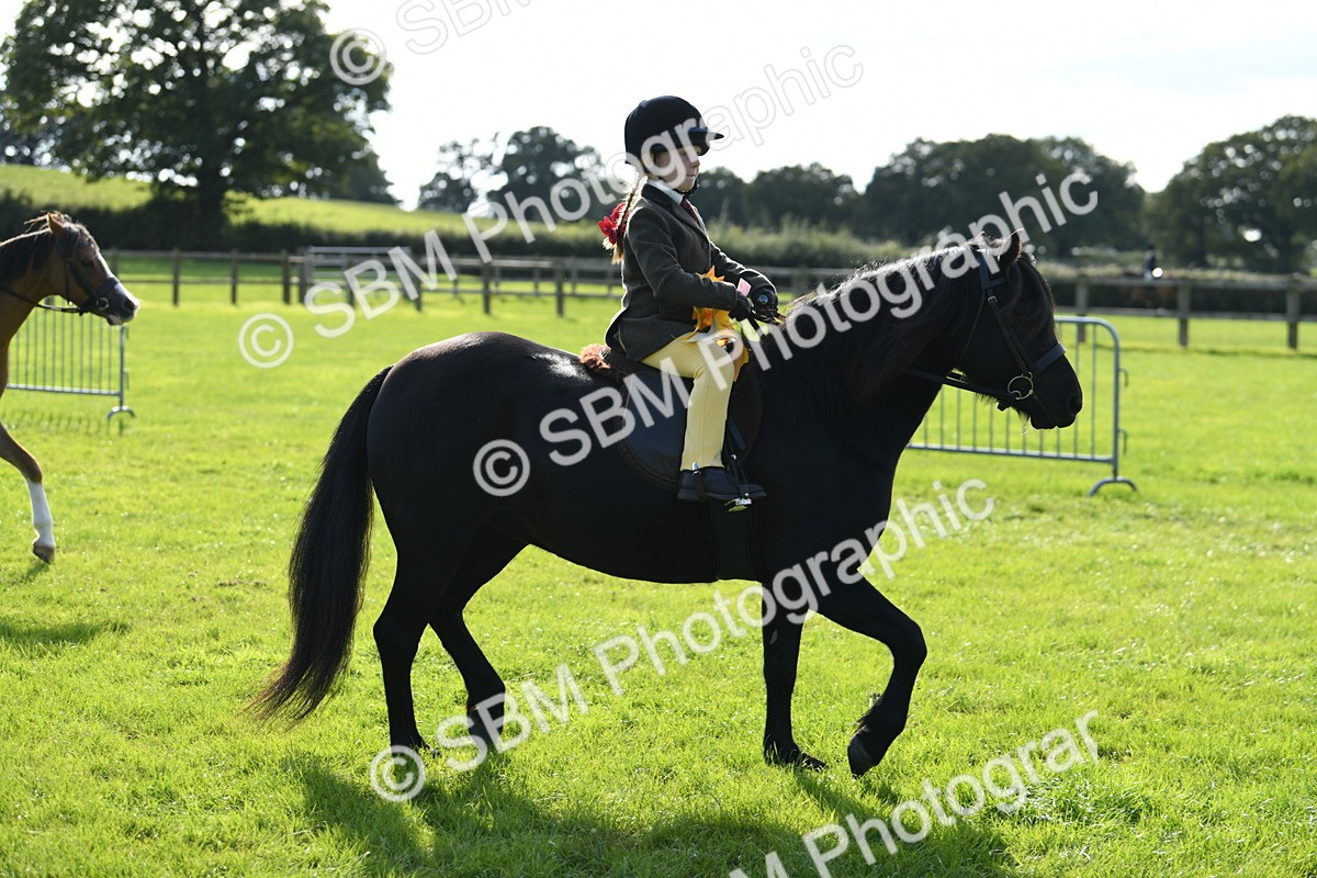 SBM_50521 - S21 - Novice & Newcomers 1st Ridden Pony