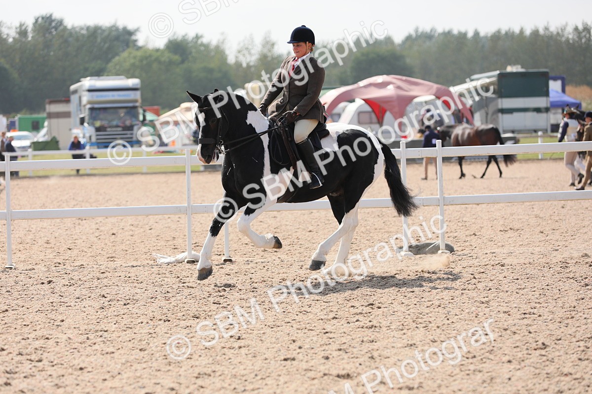SBM_13496 - Class 308 Ridden Coloured Horse