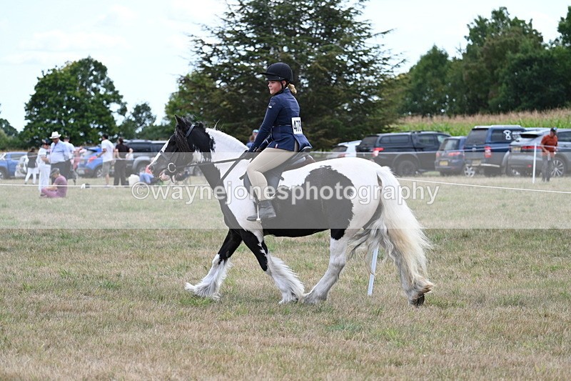 WJ7_5014 - Class 12 Ridden Cob