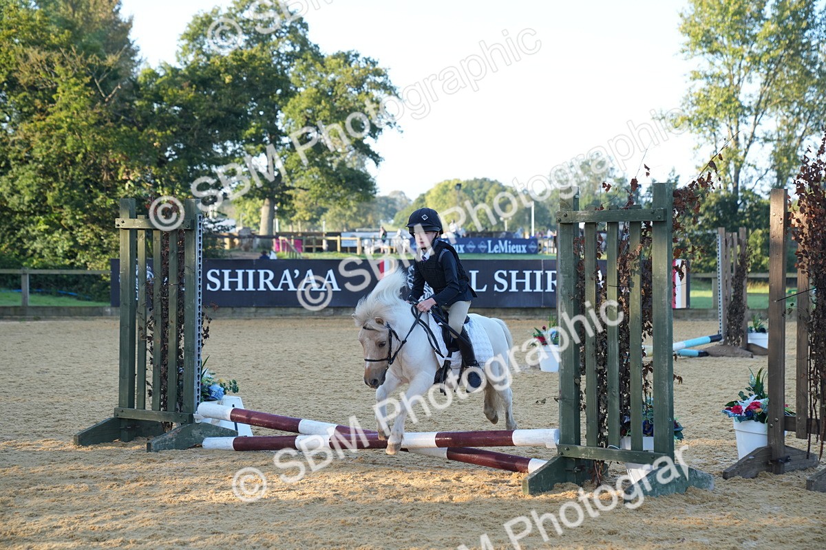 SBM_58904 - J63 - Minis Clear Round 30cm 40cm