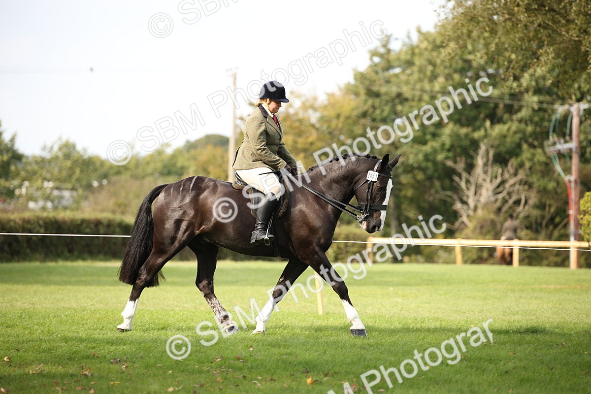 SBM_70356 - S66 - Hunter Ridden