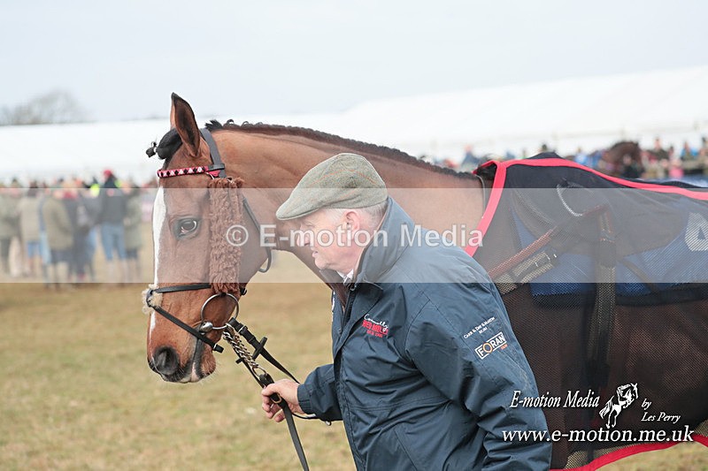 PtP 210124 585 - Cocklebarrow Races Point-to-Point 21/01/24