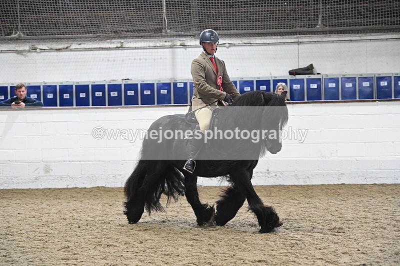 WJ7_4540 - Afternoon Champs