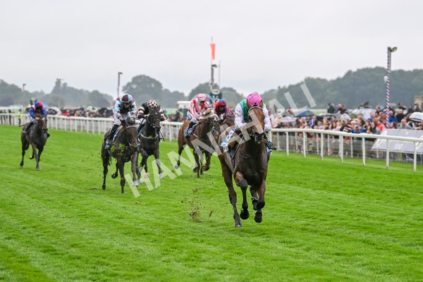 080924-Race 1-Windlord-8797 - Race 1 1.40pm British European Breeders Fund Novice Stakes