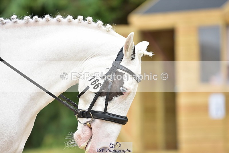 250719A-143904-06330 - 166-Ruby.Vincent-Silver.lining