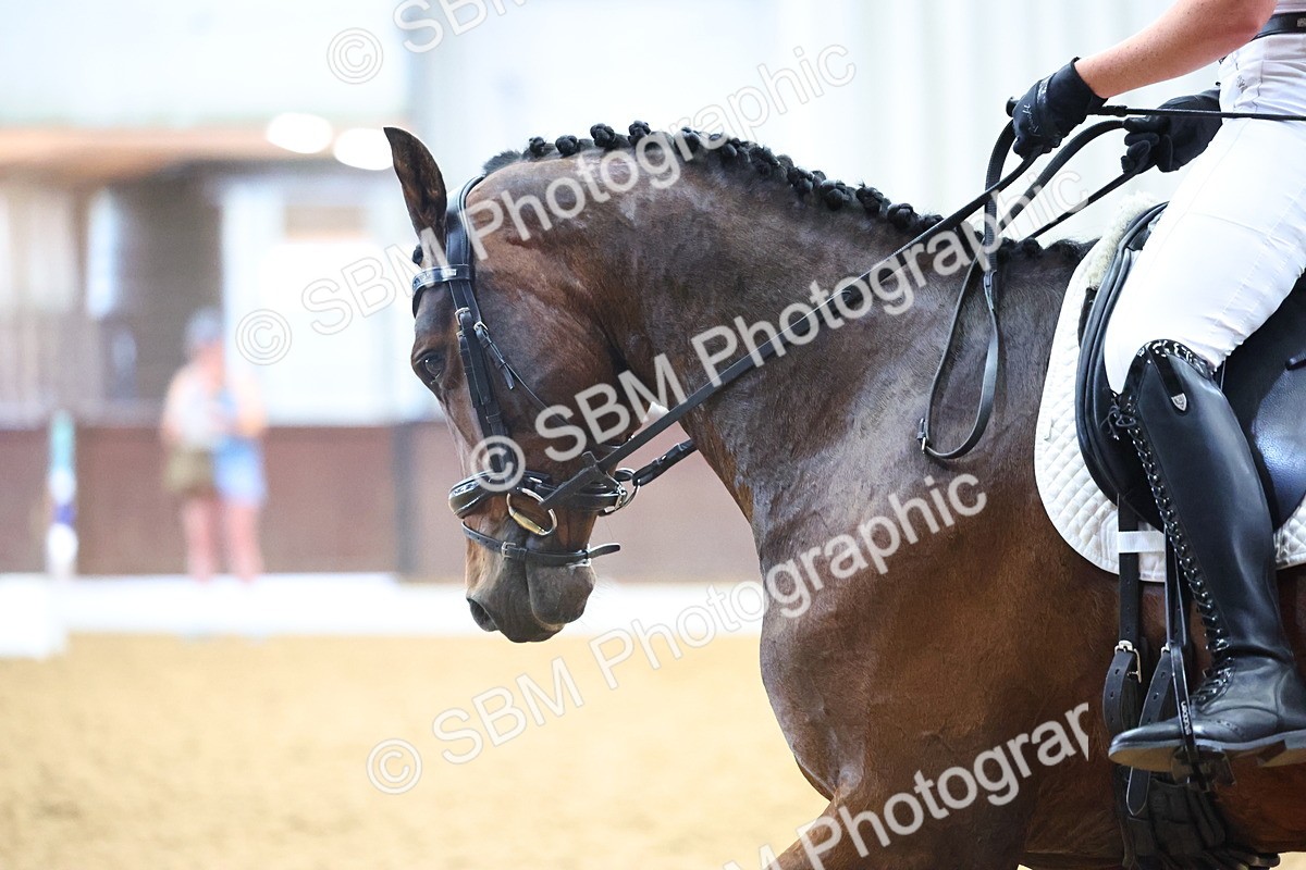 SBM_021774 - Class 14 - N6